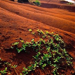 《文明7》Steam版销量突破68万份 销售额近3亿元